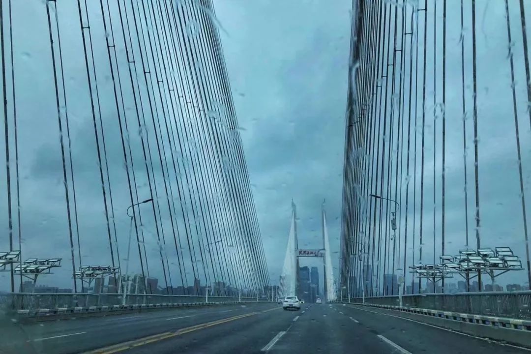 封城11日，武汉众生图