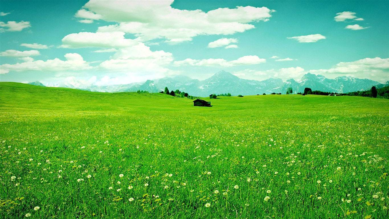 杜甫的五言律诗十首好背,杜甫最有名的十首诗春晓