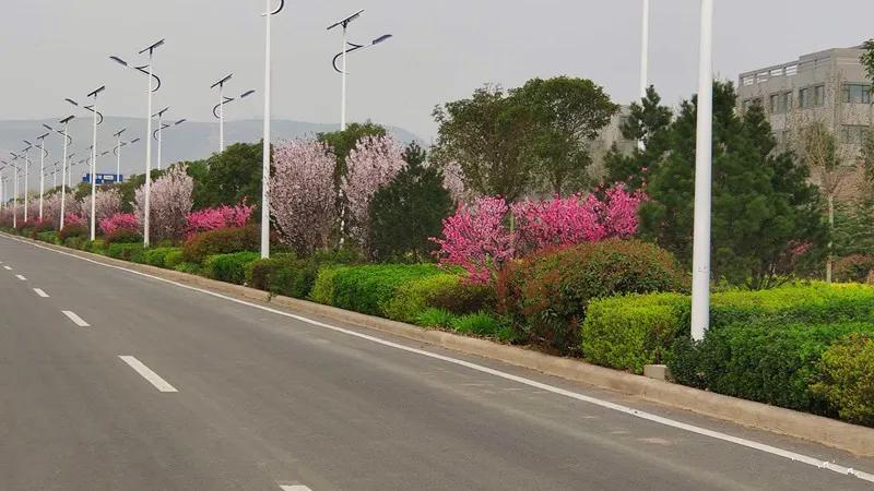 花团锦簇的峰峰是怎样炼成的？是时候告诉你真相了