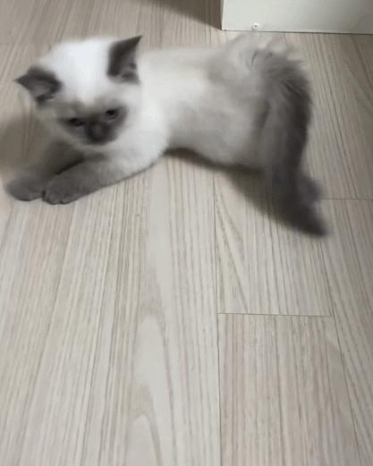 煤老板爆红完整版,煤老板ins