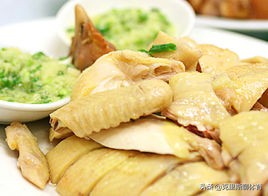 广东南粤美食之旅攻略,广州粤式美食攻略