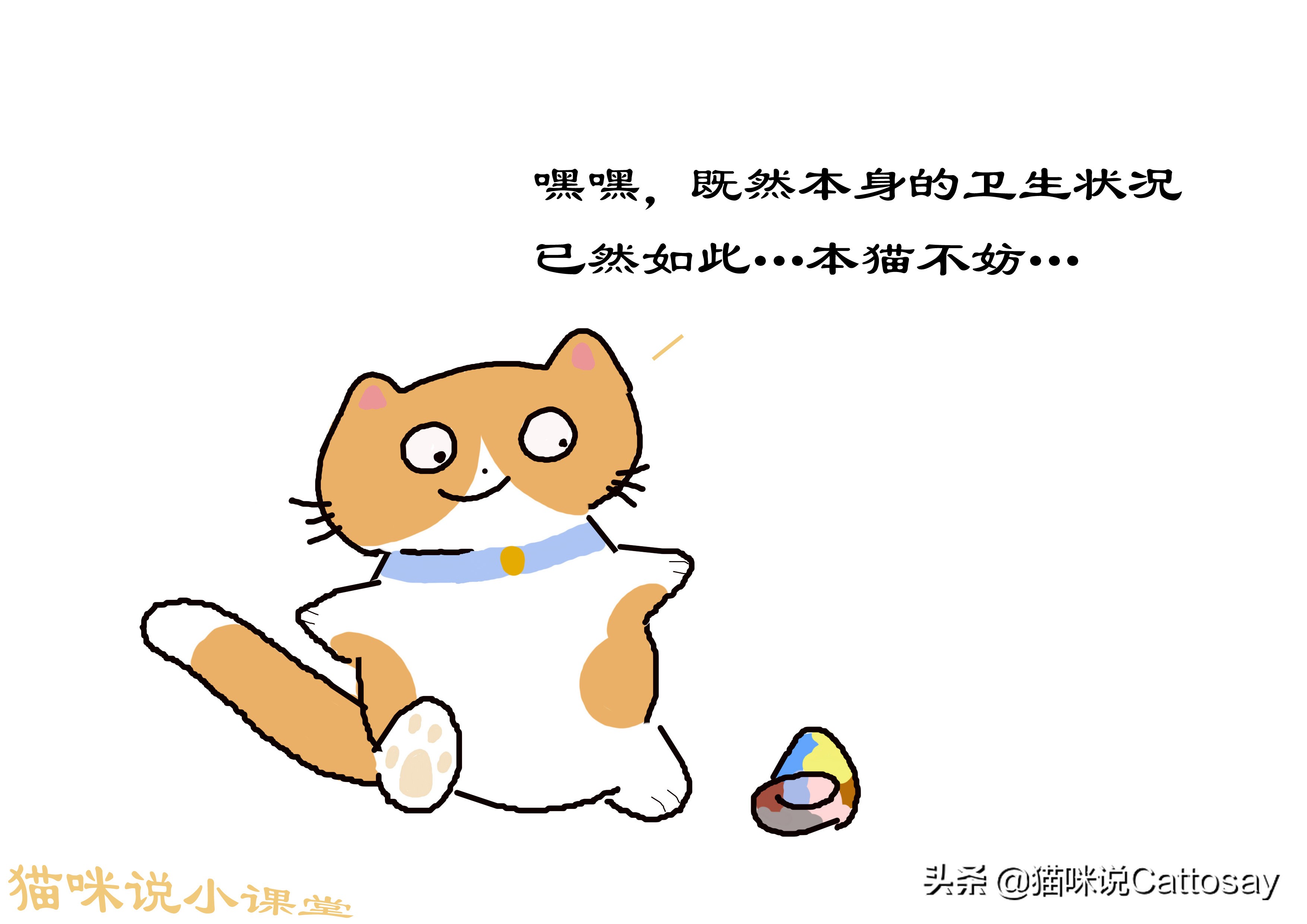 想养猫的精神状态,想养猫的人要注意什么