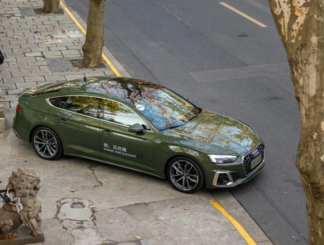 静若处子动若脱兔出处,静若处子动若脱兔下集