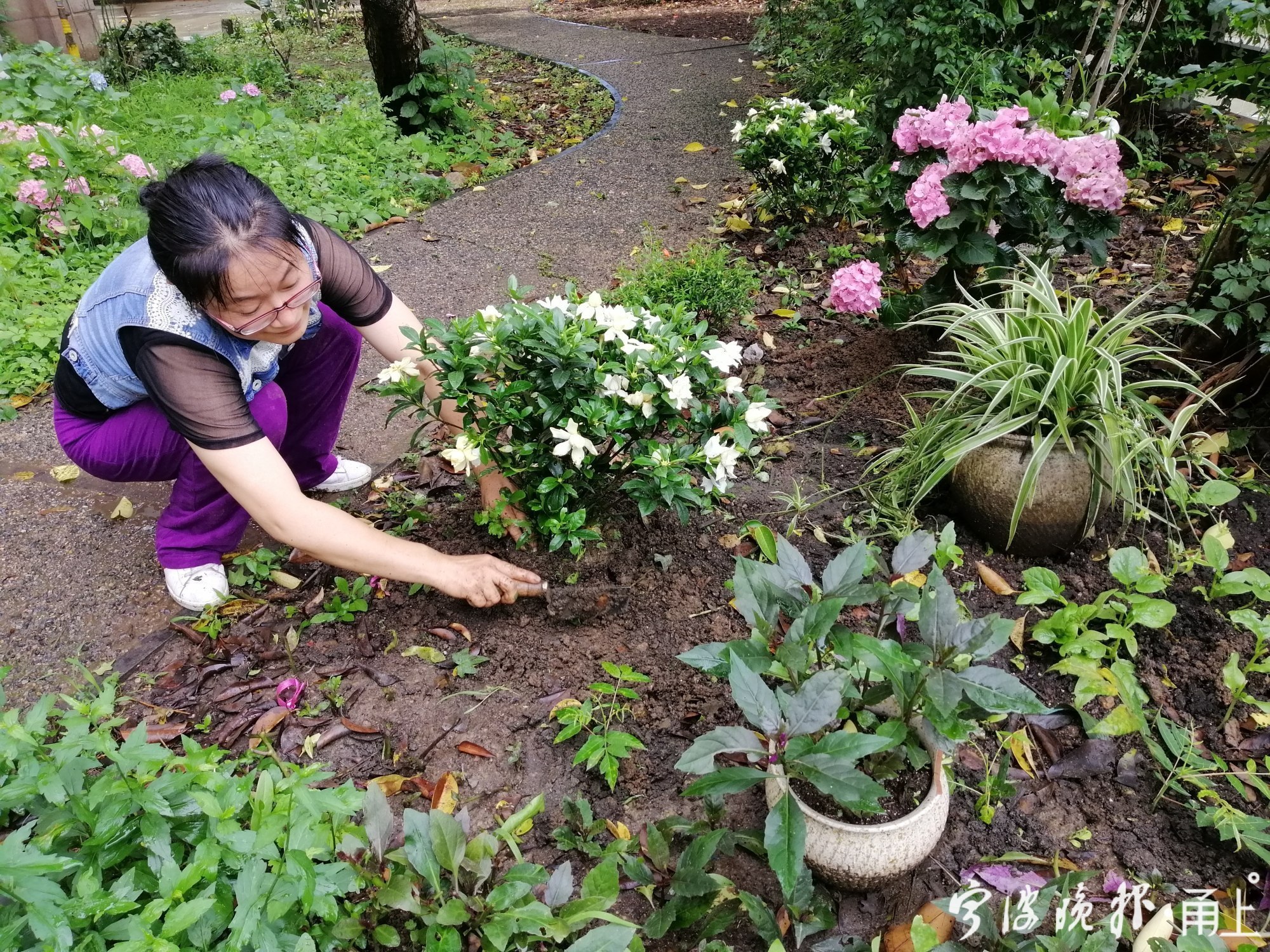 要让人民群众推窗见绿出门见景,居民开窗见绿五分钟入公园