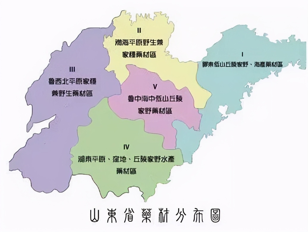山东道地药材产地和产品,道地药材的分布分为几个区