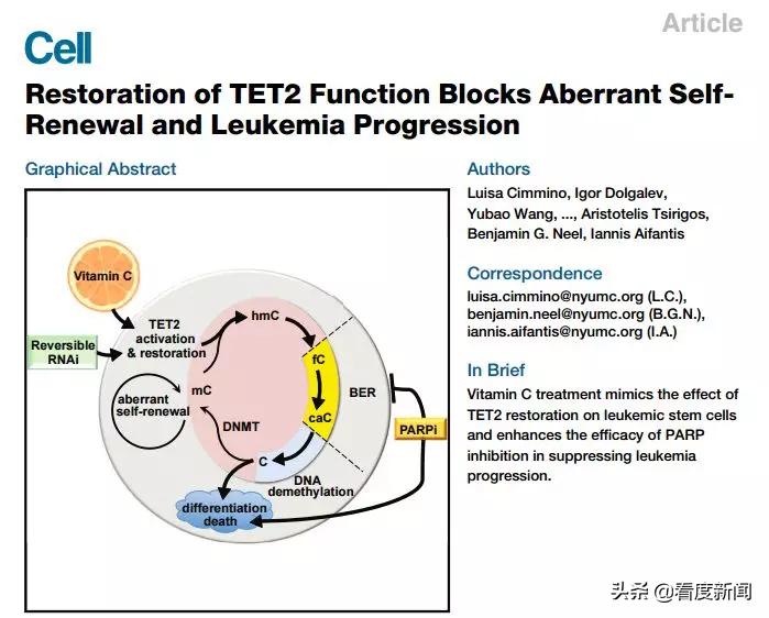 维生素c对当前肺炎有效吗,维生素c治疗新冠肺炎有用吗