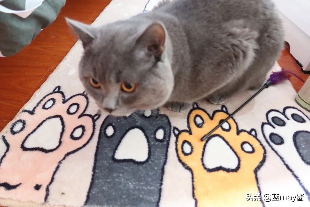 好物测评美妆分享,好物推荐平价好物红黑榜