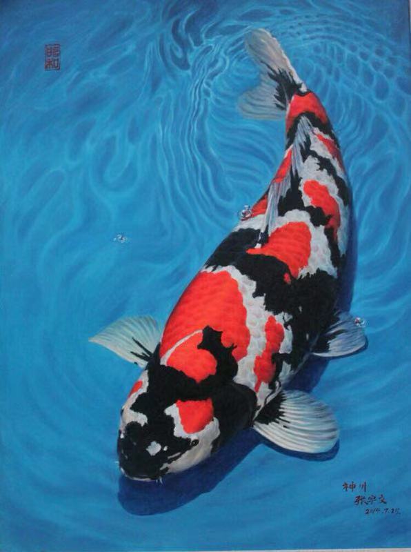 养鱼张哥最新视频,鱼缸怎么养锦鲤鱼最好