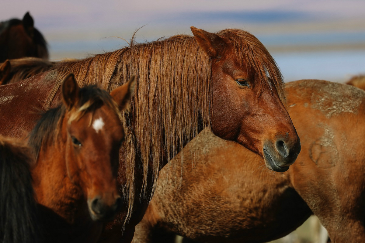 高速高画质专业表现EOSR6满足多种拍摄需求