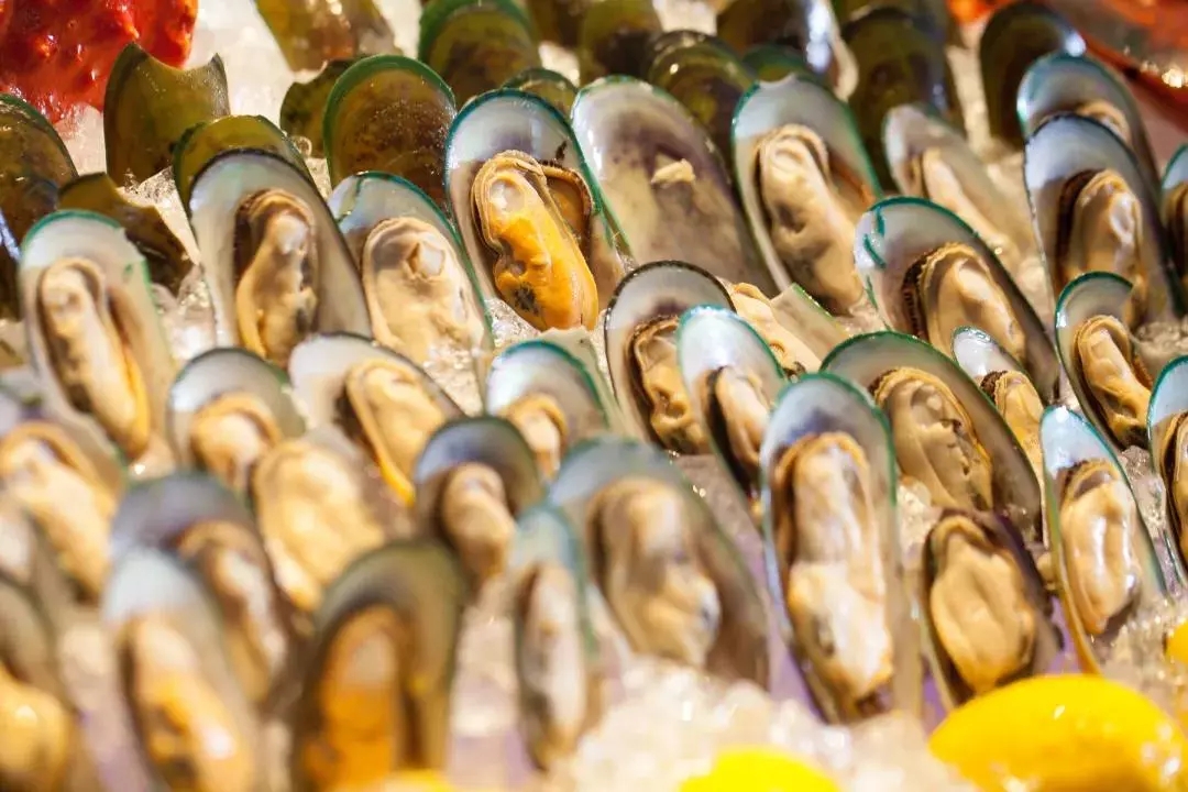 深圳希尔顿海鲜自助餐,深圳温德姆自助餐哪里好