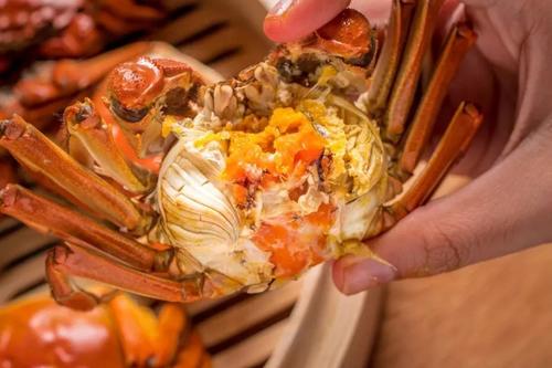 吃不完的螃蟹不要直接放冰箱,吃不完的螃蟹可以放冰箱保鲜吗