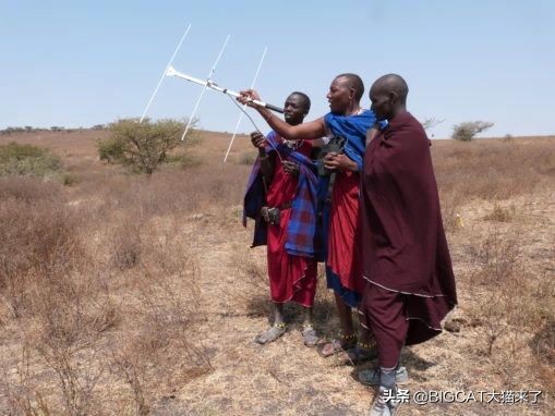 精子异常，雄狮不得不和母亲女儿交配，这个狮群深陷*亲近**繁殖困境