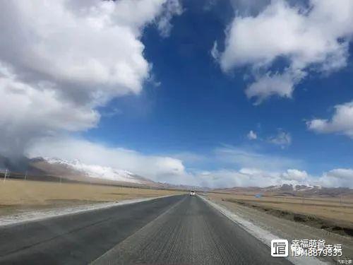 第七章姑嫂让蛋（原创小说连载7）