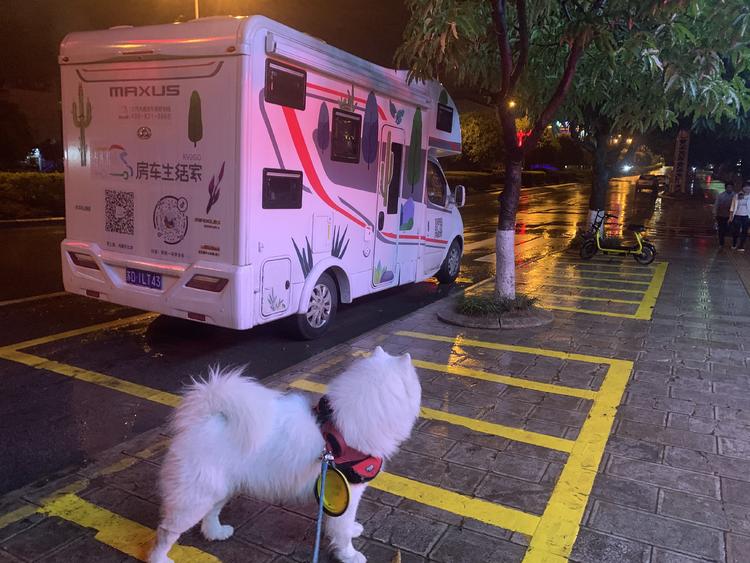 「第四期」一辆房车，三只毛孩子，三个姑娘，9476公里奇遇记