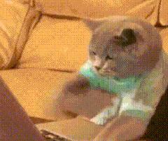 微信聊天记录怎么导出打官司证据,微信聊天记录怎么导出来成为证据