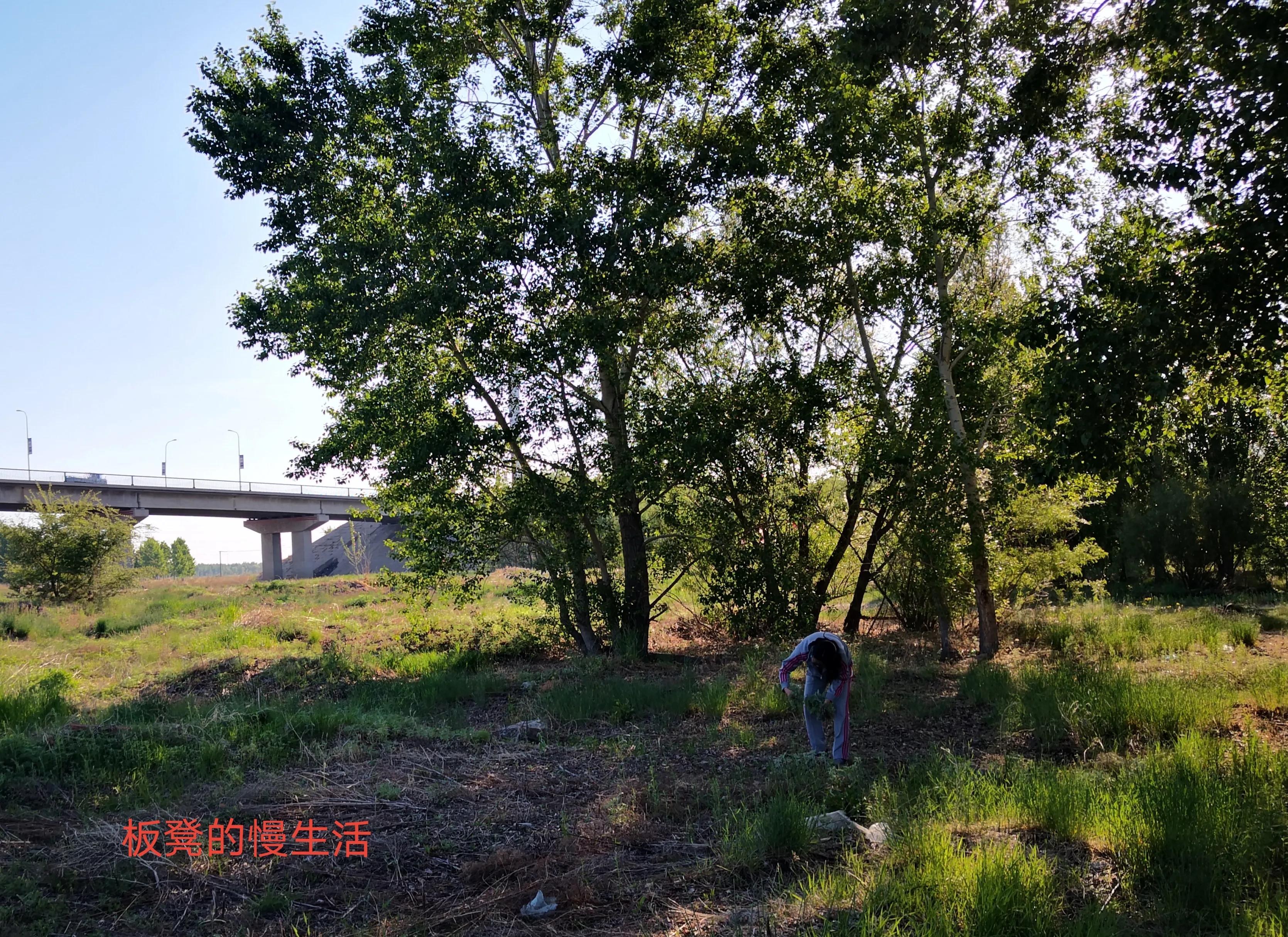 冬日探访住在嫩江边的“老神仙”，邂逅并沉醉于冰上绝美落日