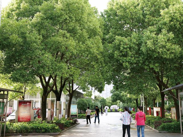 走质量兴校之路圆学生成才之梦