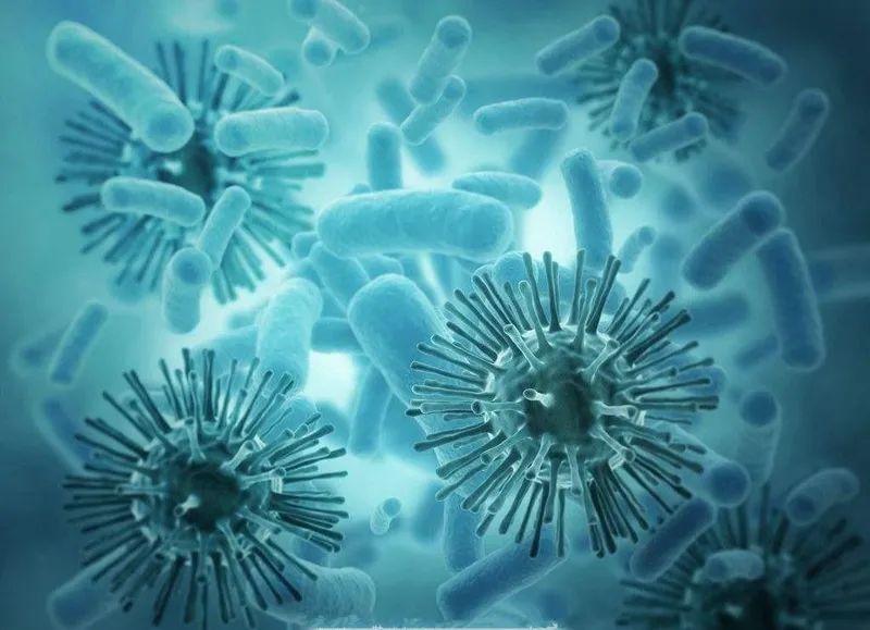 癌症是如何转移的动画演示,癌症转移的最佳方法