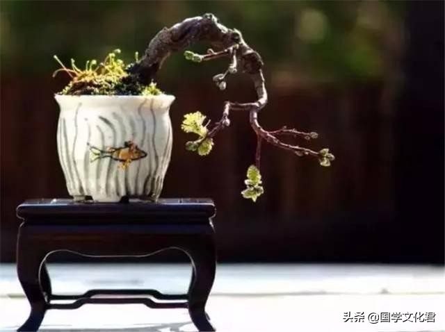 挨骂了，怎么办？一位唐朝高僧说：骂不还口，就是得了“大便宜”