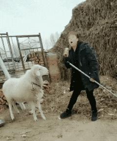 高铁上一位阿姨,高铁40岁老阿姨踢我怎么办