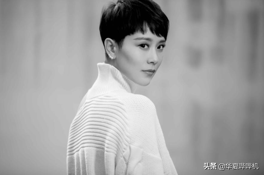 海清无戏可拍的原因,海清哭诉没戏拍的时候