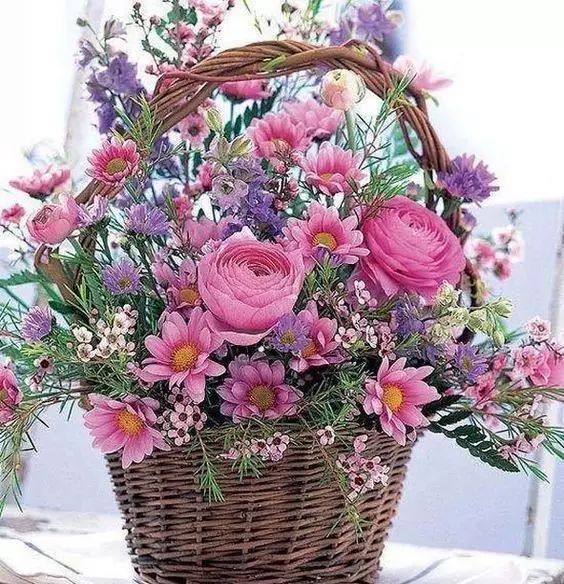 教你怎么学插花,小白零基础怎么学插花