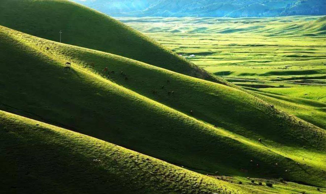 新疆沙湾美食合集,新疆沙湾特色美食推荐