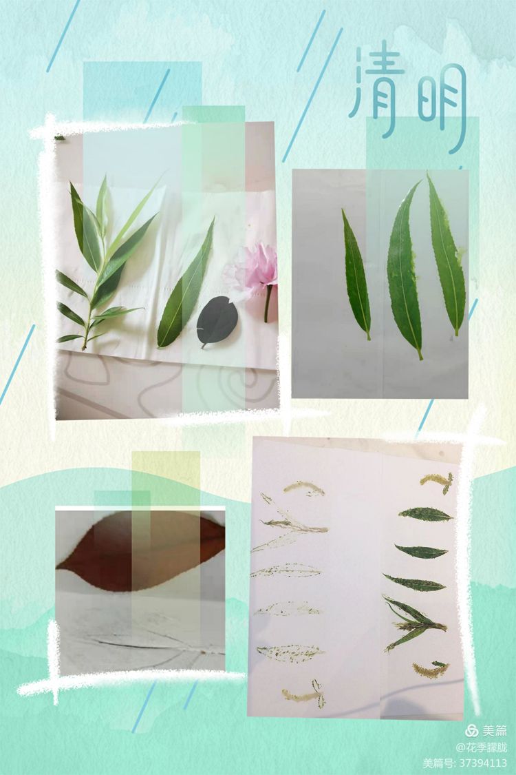 春雨润童心清明祭情怀