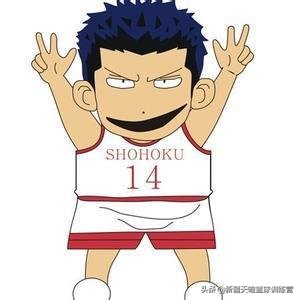 篮球1-5号位是什么位置,篮球的1-5号位是什么意思