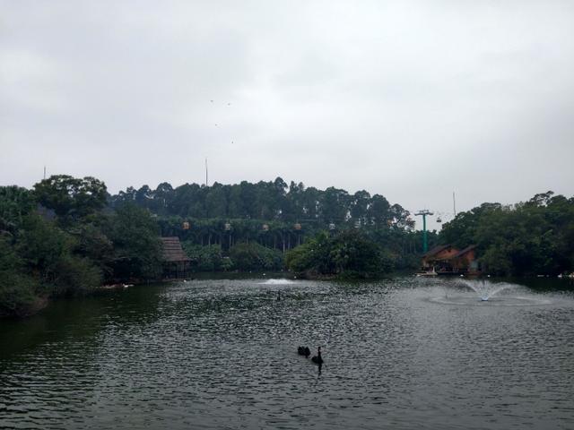 广州番禺区长隆野生动物世界缆车,广州旅游长隆野生动物世界