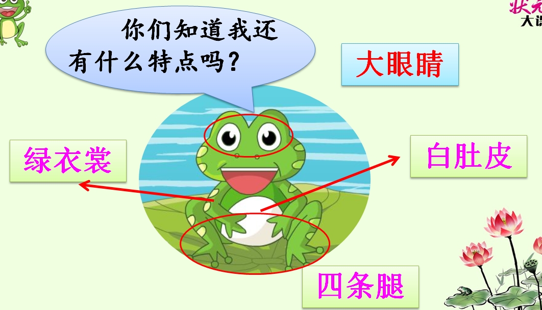 小学语文知识大集结练习十一,小学语文基础知识的练习册