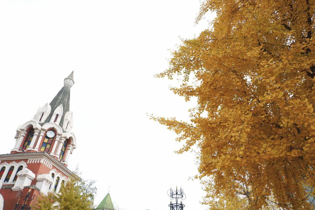 三亚和厦门哪一个更值得去旅游,三亚和厦门哪个更值得去旅游