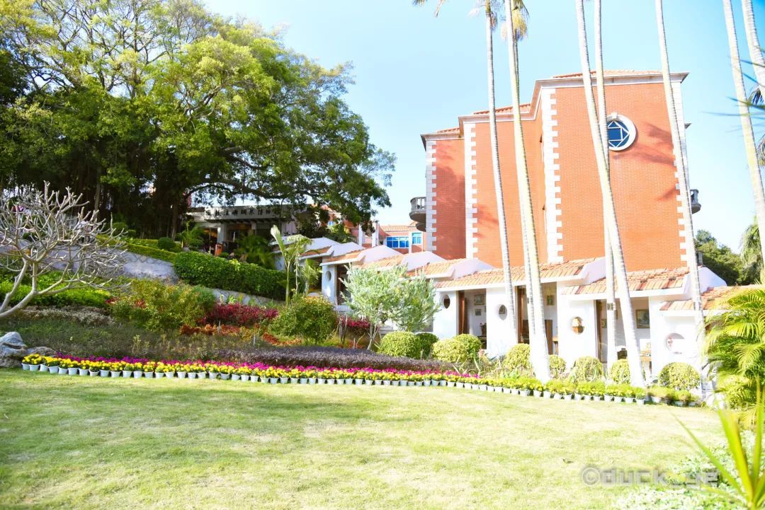 鼓浪屿一日游吃什么,鼓浪屿适合老人旅游攻略