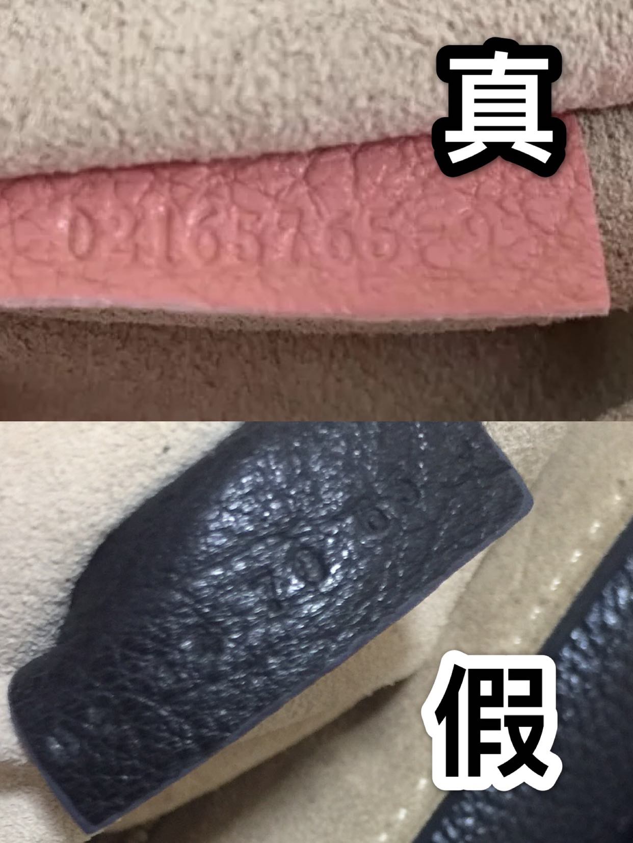 克洛伊小猪包真假鉴定,如何辨别chloe小猪包香水真假