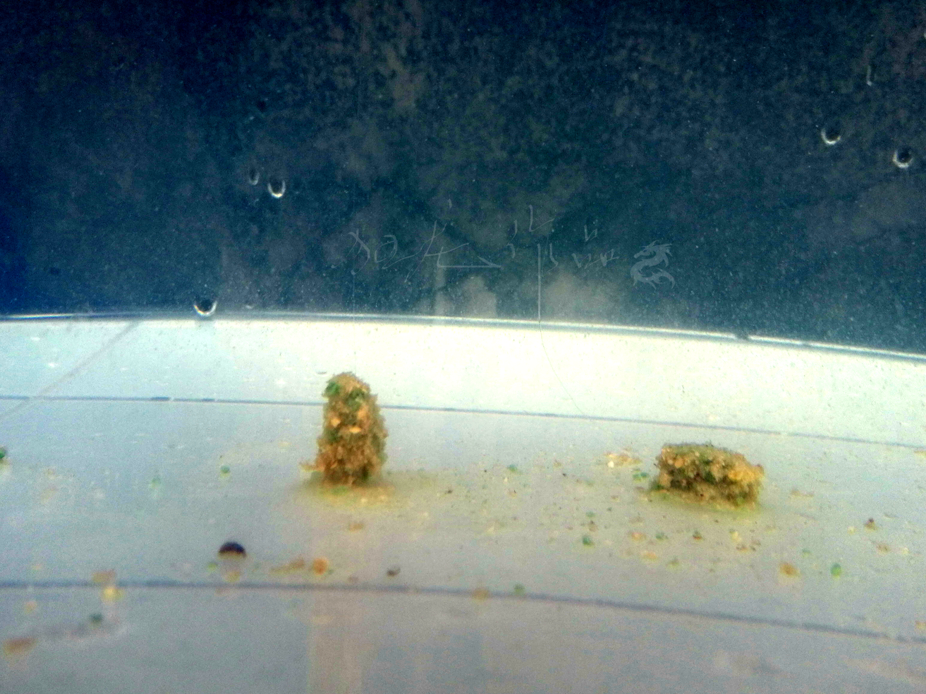 悬浮触底躺底三种状态,悬浮状态和漂浮状态