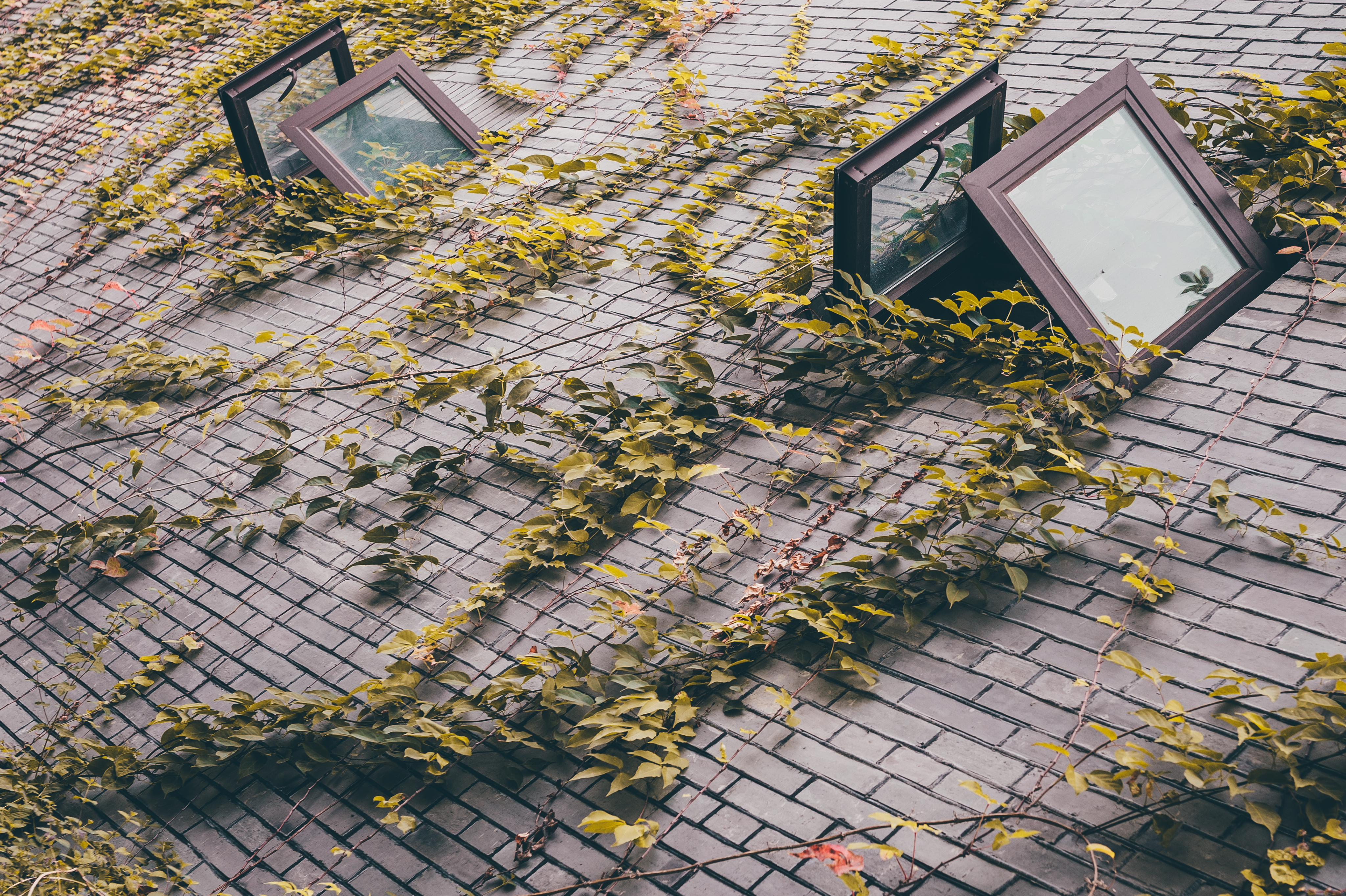 烟台山商业漫步街区套票,烟台山商业漫步街区餐厅