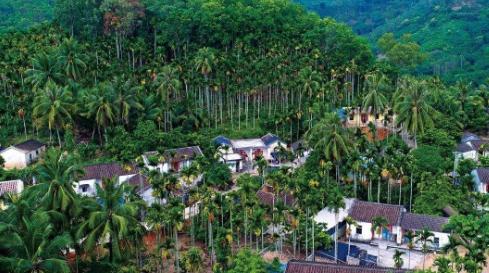 赏析古诗孟浩然的过故人庄,过故人庄孟浩然经典语录