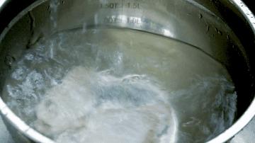 鲜椒蒜香翅的做法,广东鹅焖掌翅的做法大全