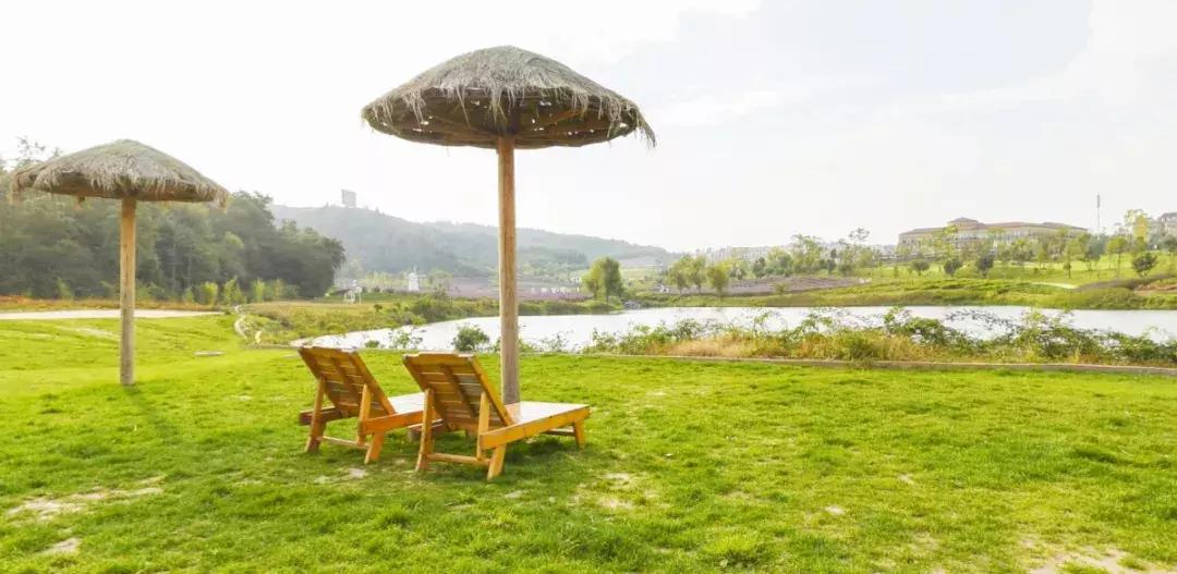 曲靖这31个景点你都去过了吗,曲靖千亩花海美景