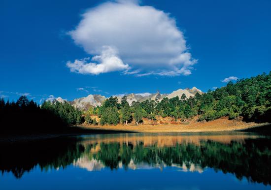 为什么生病要吃药才能治好,有些病不能完全治愈吃药总能缓解