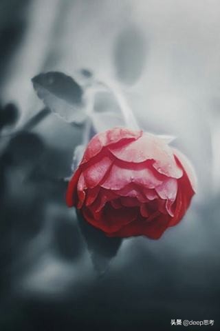 消失的爱人在婚姻中,消失的爱人婚姻阴影