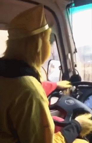 和空姐合租的日子,和空姐在一起的日子电视剧