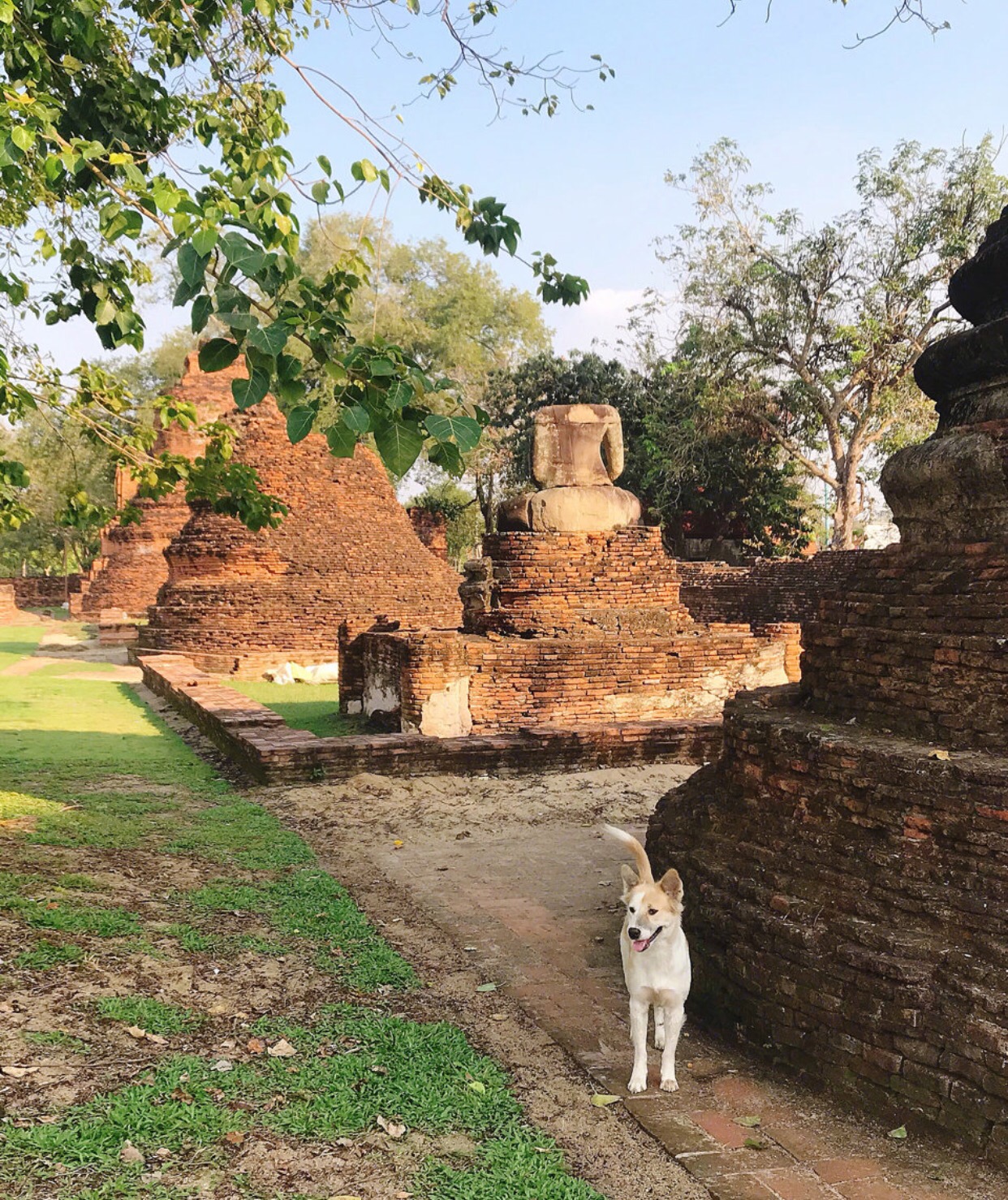 最好的时光遇见你免费观看,泰国5日经典旅游攻略