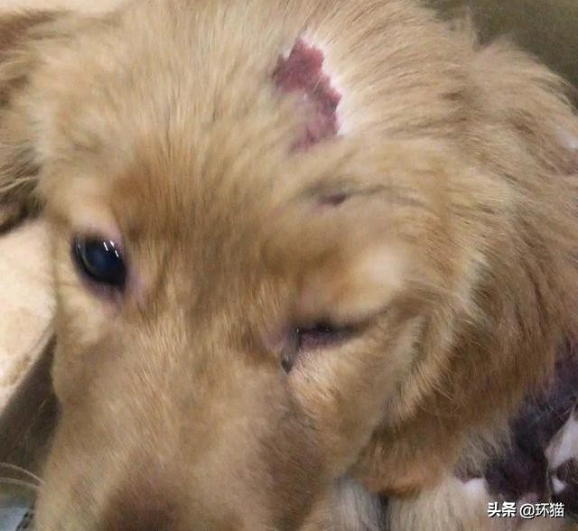 气到发抖对身体有哪些影响,气抖冷梗出处