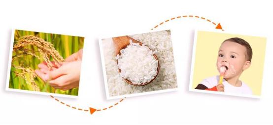 贝斯美辅食油,贝因美辅食怎么样