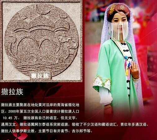 油管看中国56个民族传统服饰,56个民族女性服饰图片大全