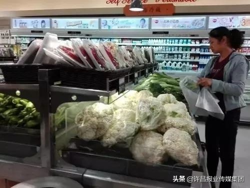 许昌生态环境改善,许昌人居环境改造