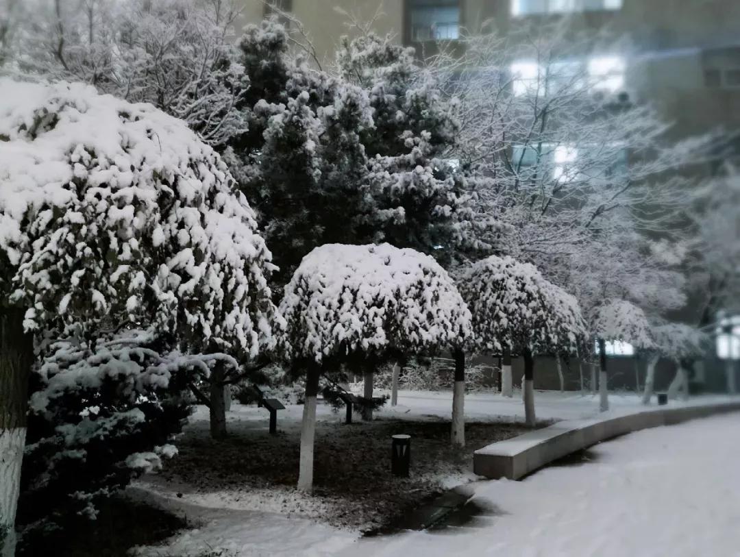 辽宁大学和鲁迅美术学院,辽宁省鲁迅美术学院是985吗