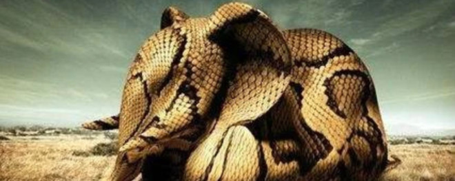 屋内不打伞、玩火会尿床，小时候听过的谚语科学分析出来有道理？