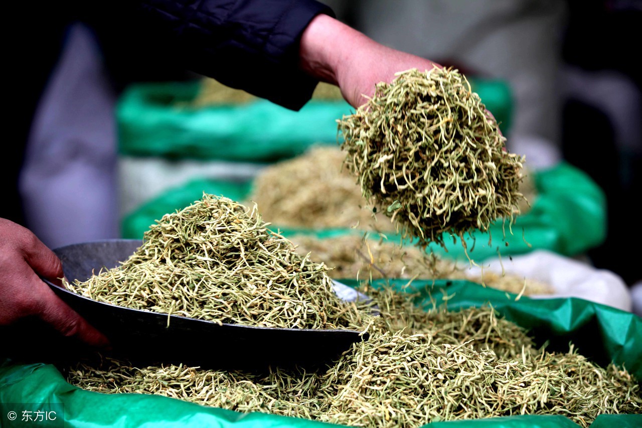 胃火旺喝金银花还是蒲公英麦冬,治胃火的麦冬金银花一次喝多少